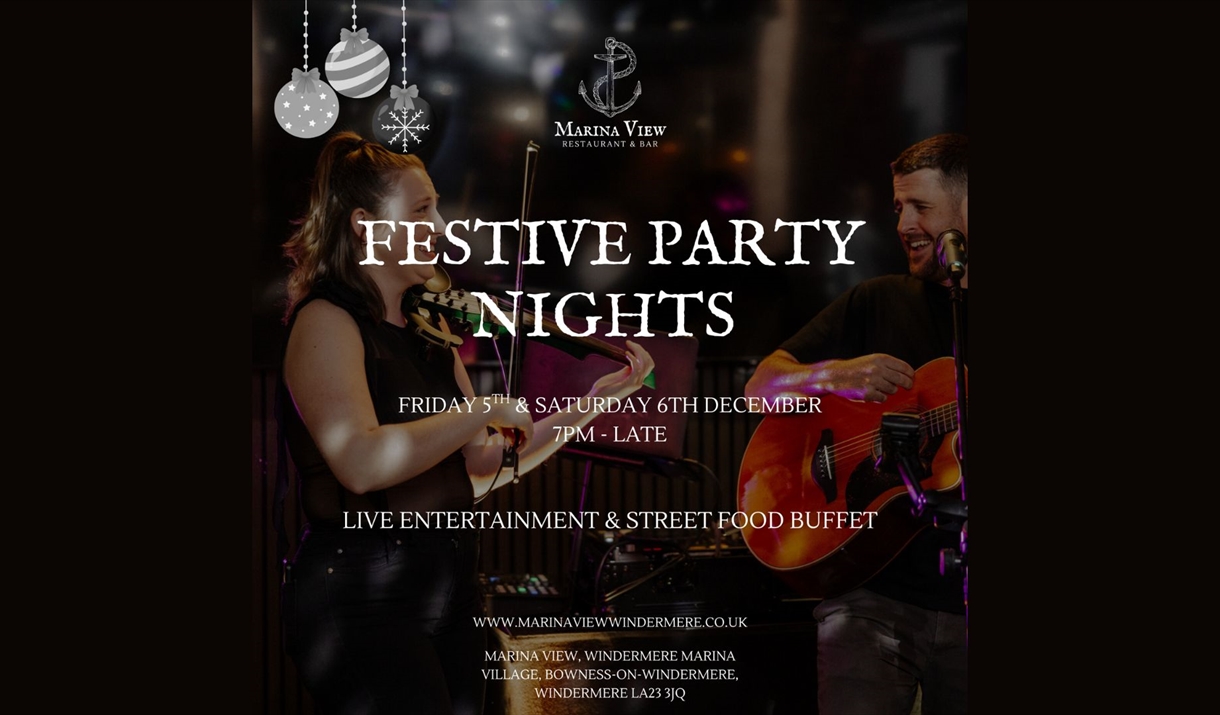 Festival Party Poster