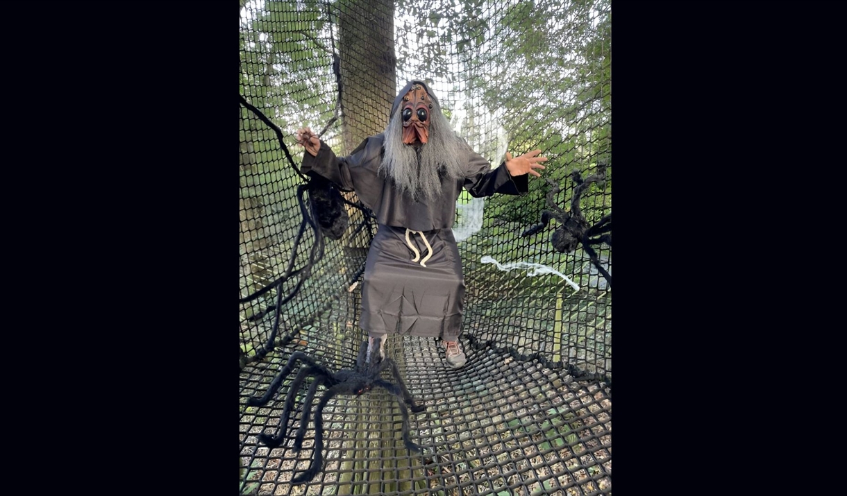 A person dressed in a spooky costume resembling a spider. Large fake black spiders are positioned around them on the net.