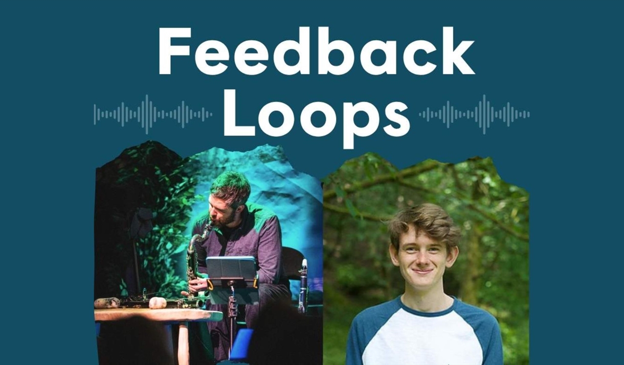 Poster for Feedback Loops