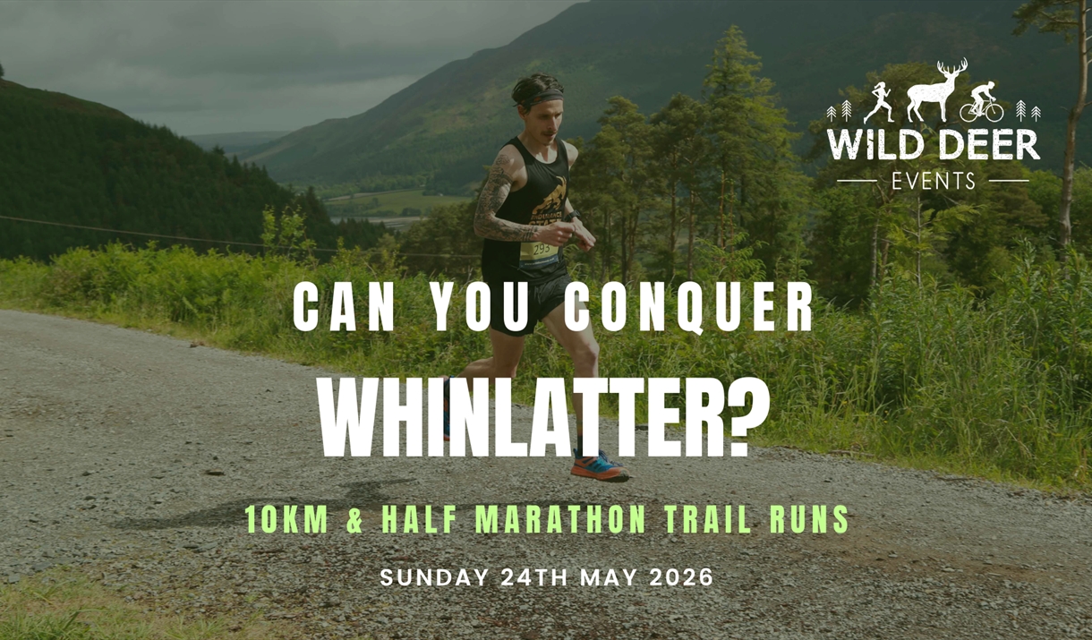 Whinlatter Forest Trail Runs
