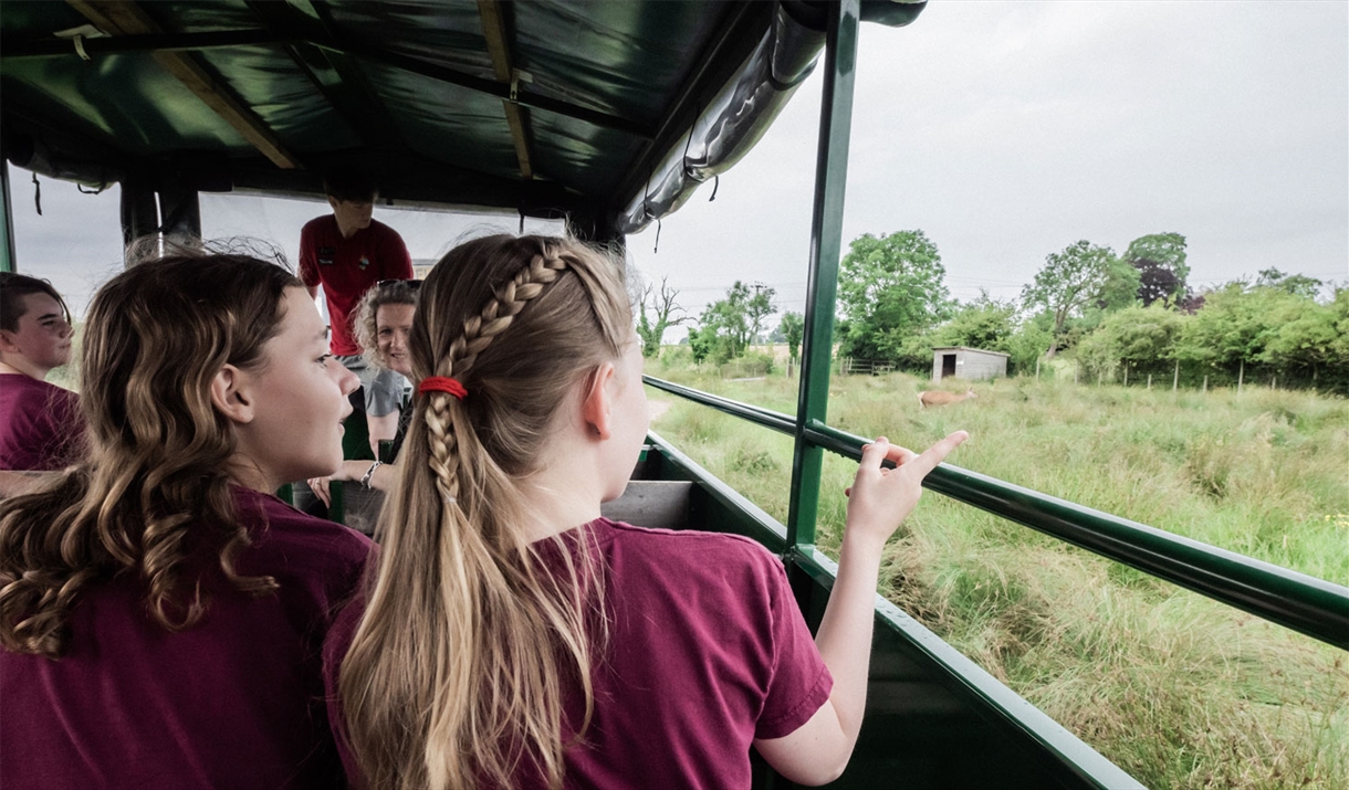 Tractor Tours for Schools & Group Visits to Walby Farm Park in Walby, Cumbria