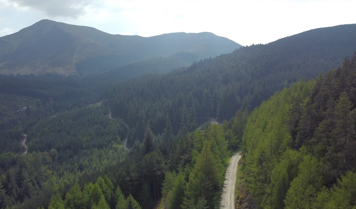 Whinlatter Forest pop up sauna