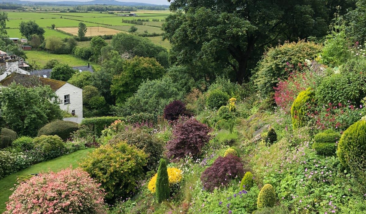 Stunning Hillside Garden with views over the Lyth Valley