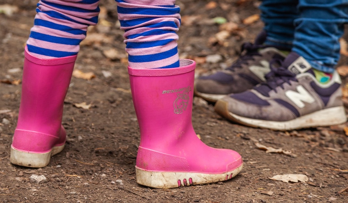 Festive welly walk at Whinlatter Forest in the Lake District, Cumbria