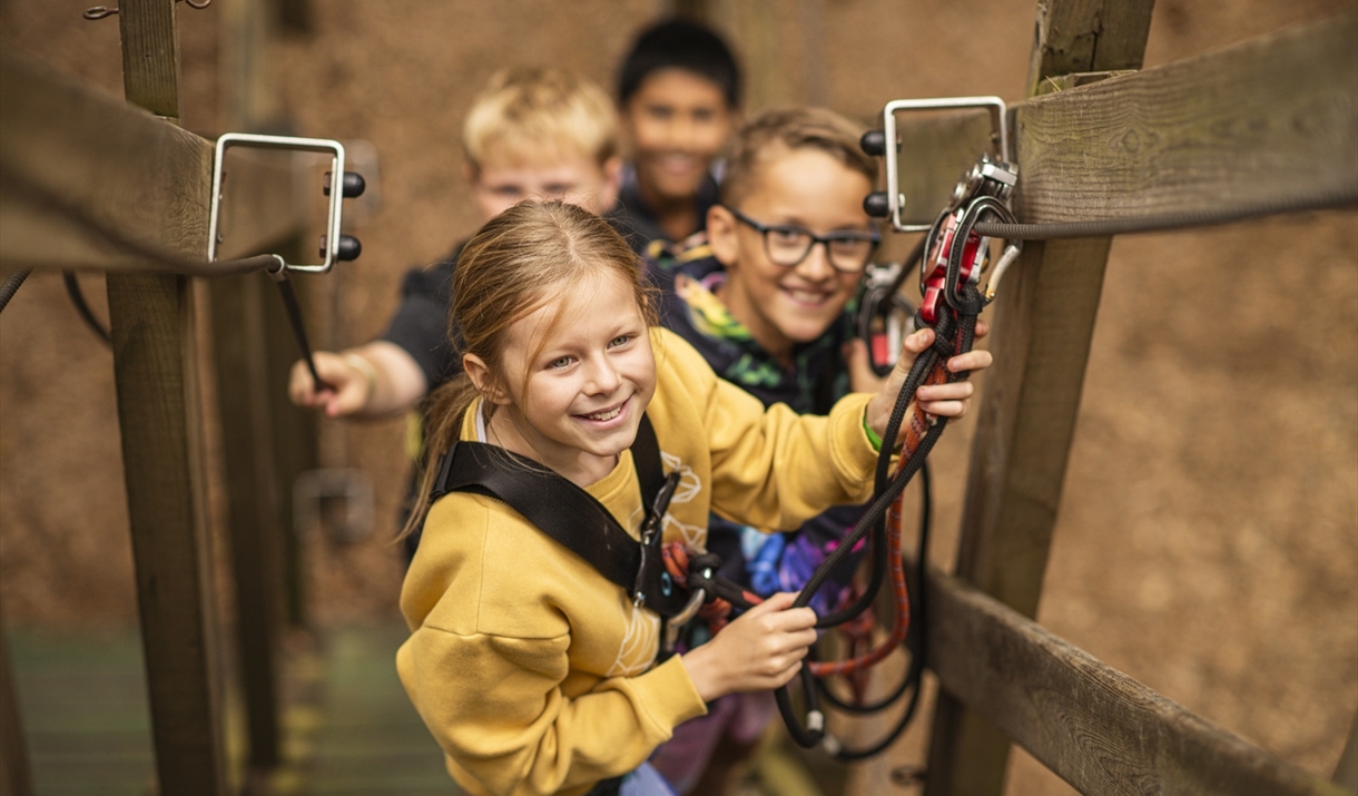 Children enjoying Go Ape at Grizedale Forest