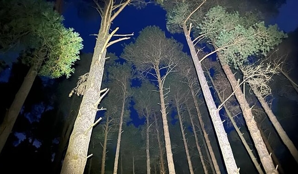 Dark skies adventure fell walk at Whinlatter Forest in the Lake District, Cumbria