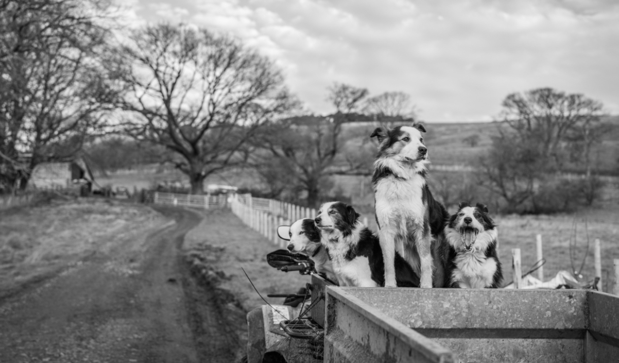 Farm Photography Tour