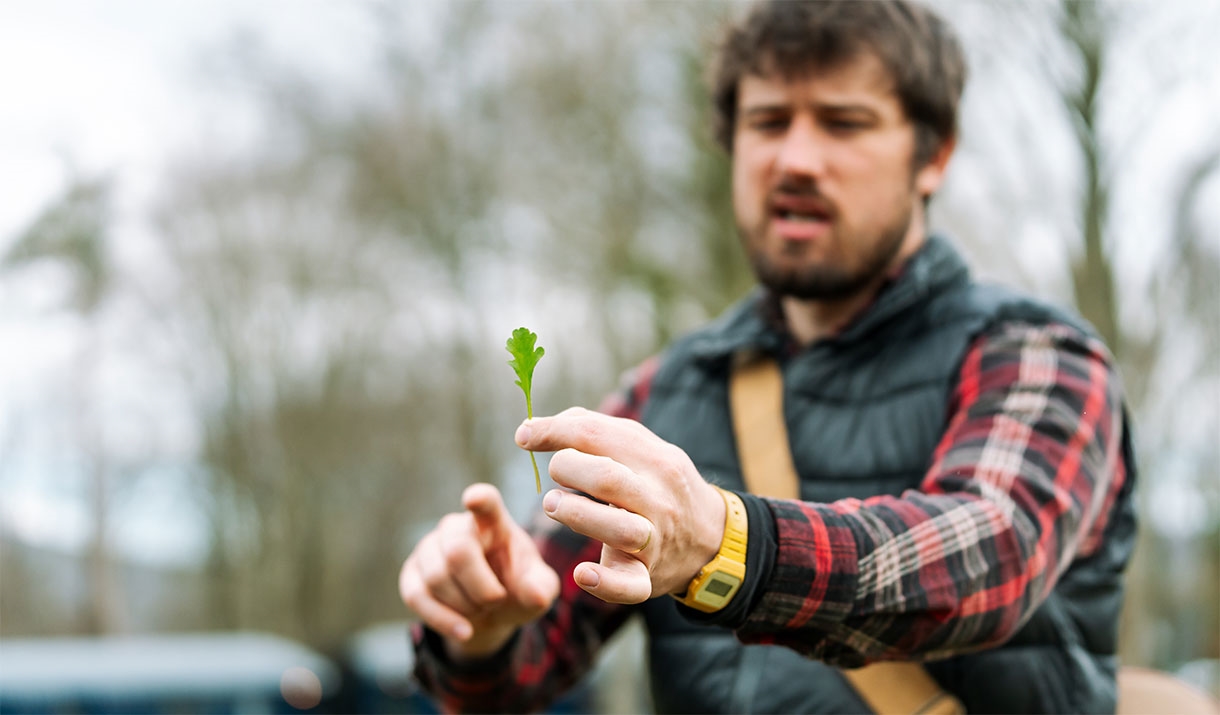 TASTER Foraging Workshop in Kirkby Lonsdale