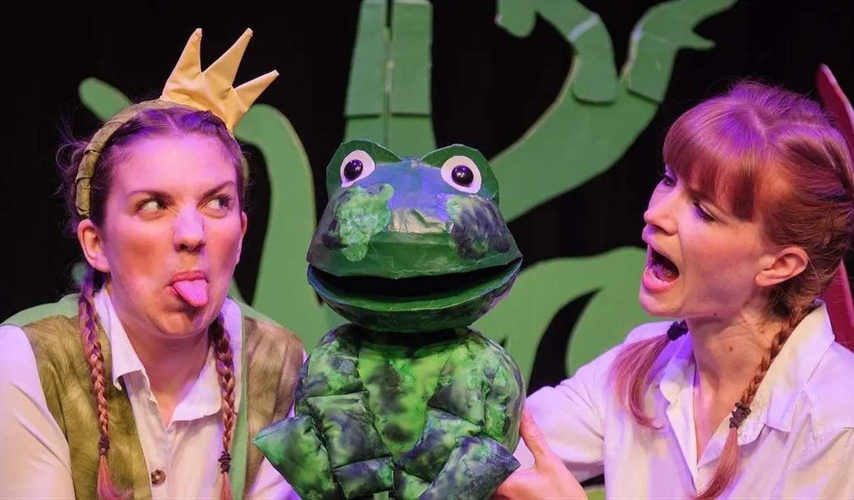 Photo from Frog & The Princess and Other Stories at Rosehill Theatre in Whitehaven, Cumbria
