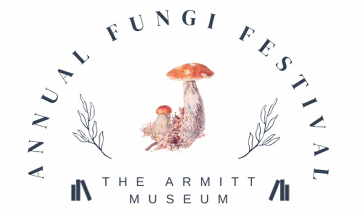 Annual Fungi Festival Poster