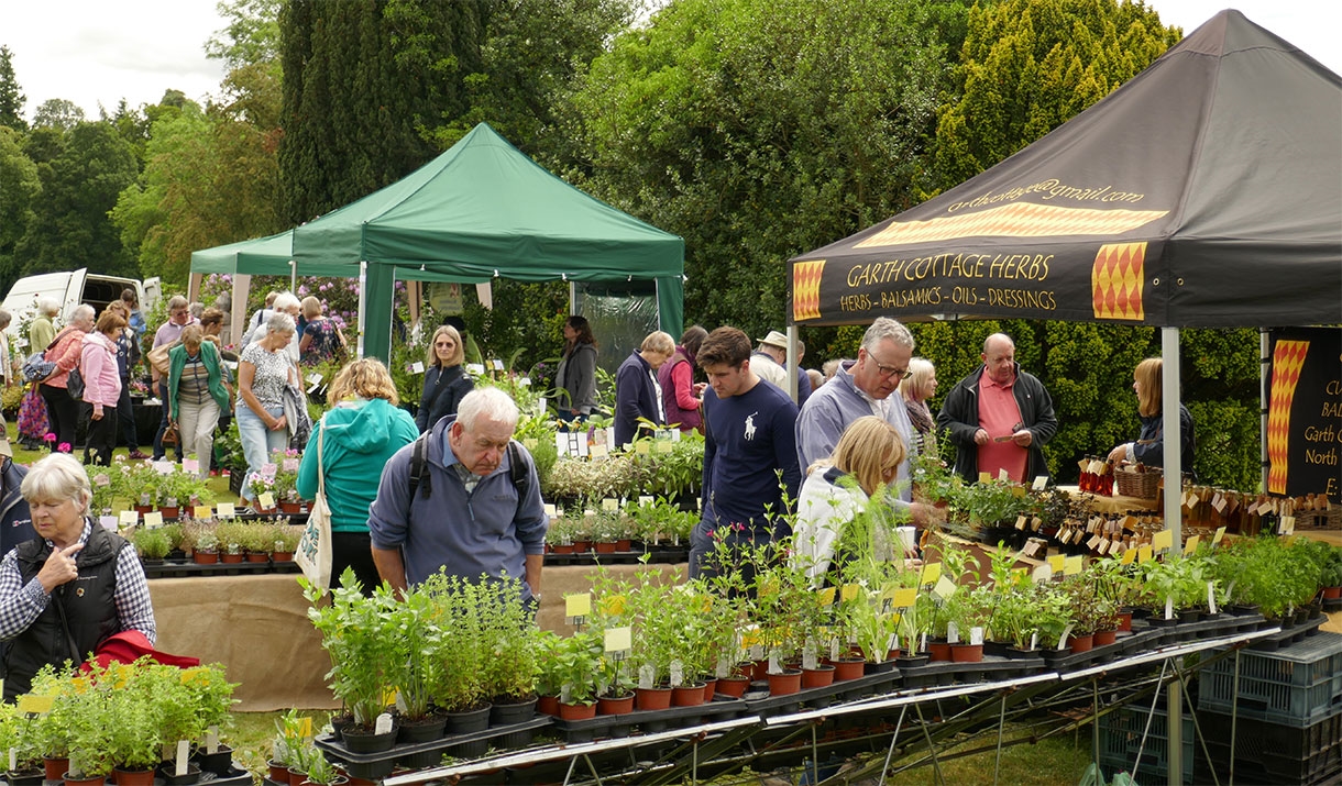 Dalemain Plant Fair