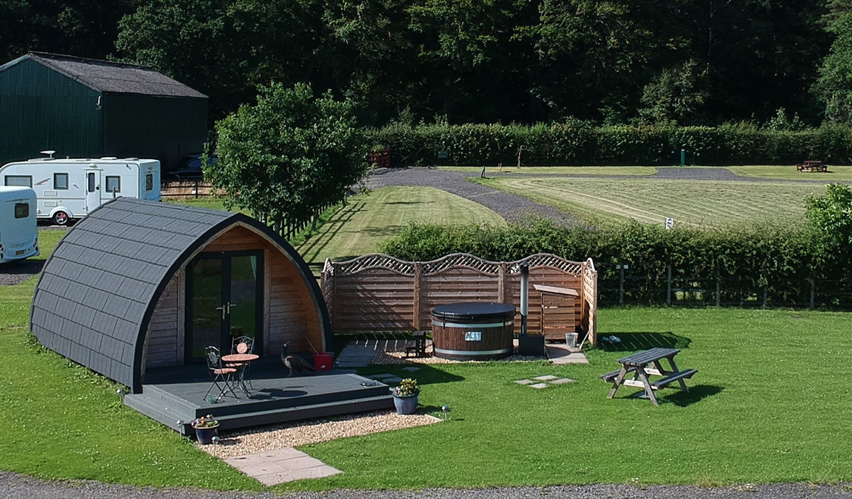 Luxury Glamping Pod at Low Moor Head in Longtown, Cumbria