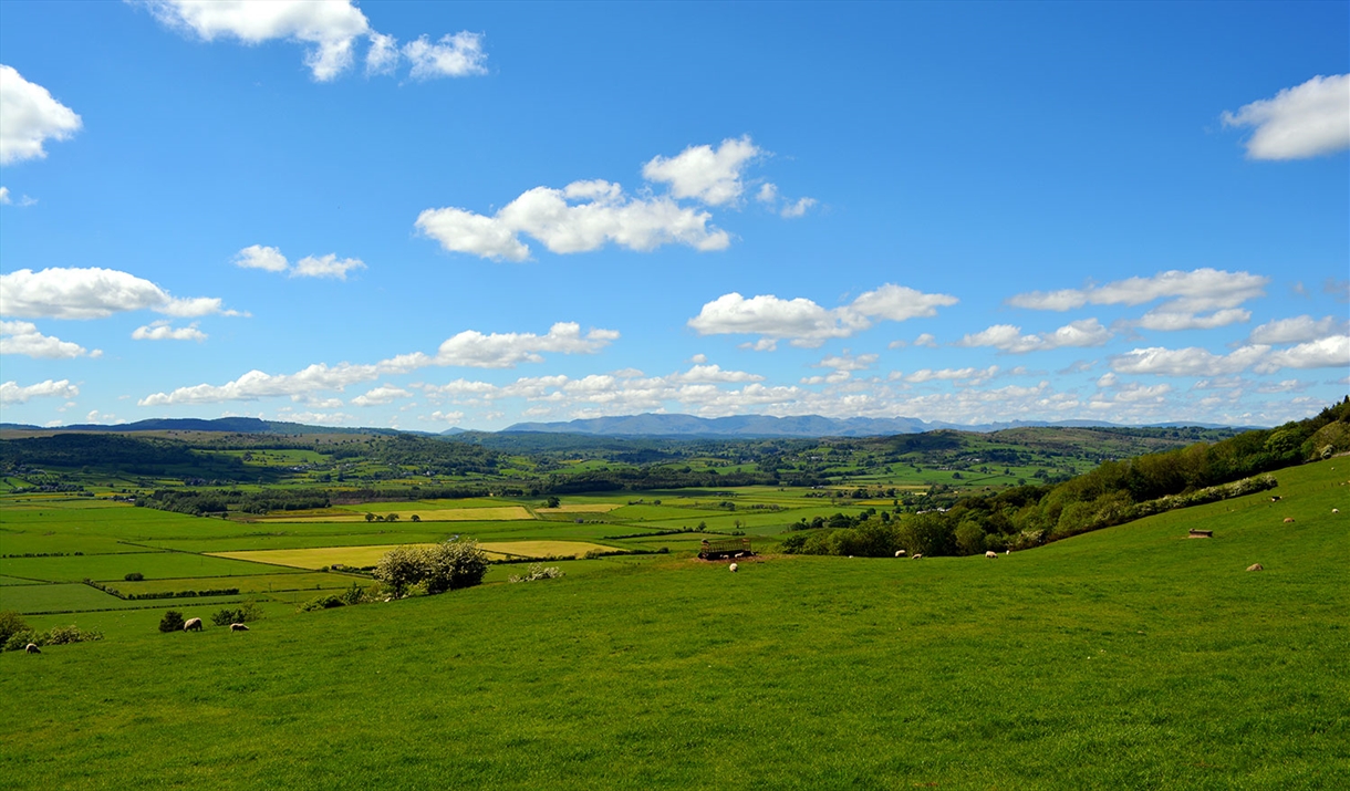 The Lyth Valley