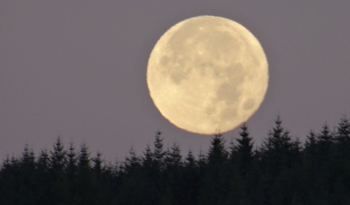 Photo of a full moon above a dimly lit forest