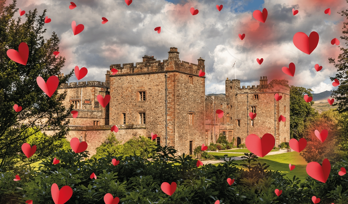 Valentine's Romantic Dinner in a Castle