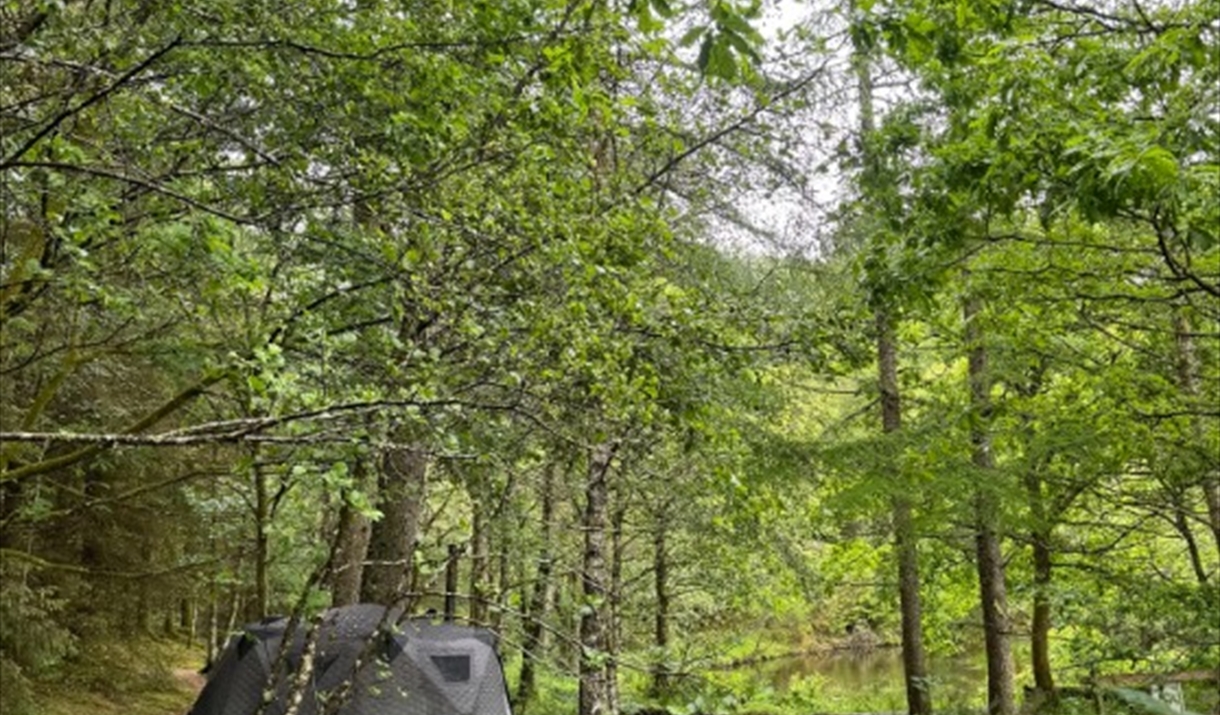 Sauna in woodland setting