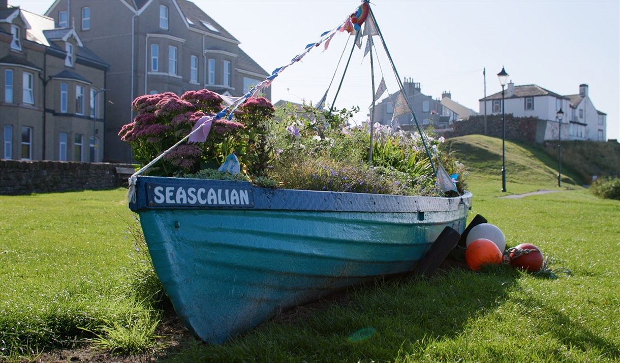 Seascale, photo: adamediafilm.com