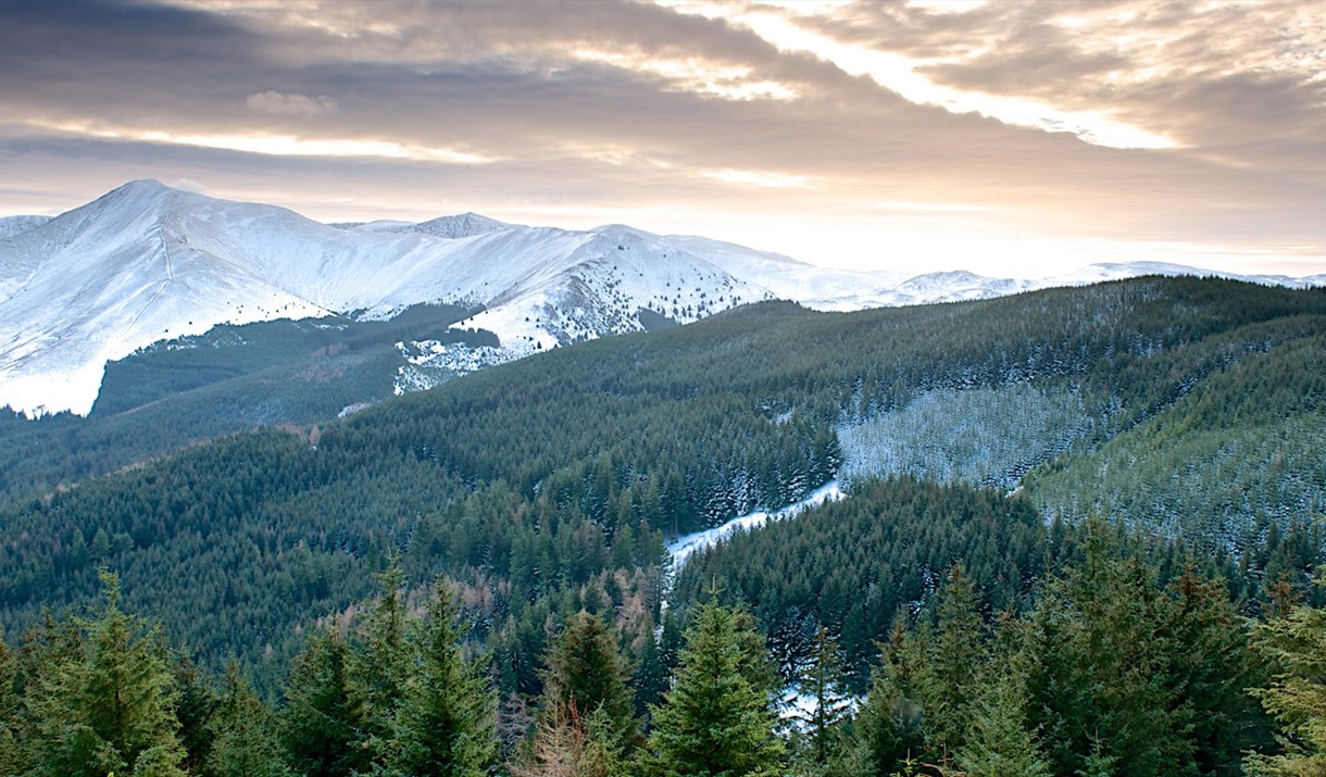 Landscape Photography