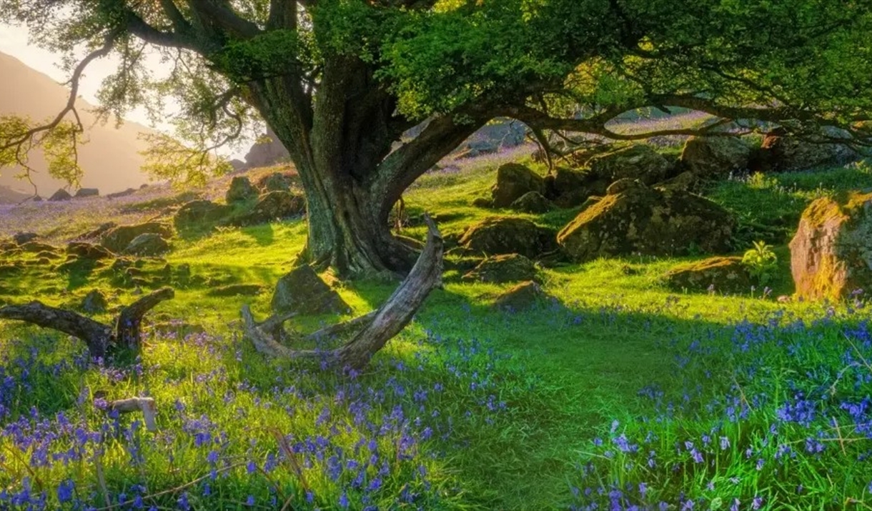 My Cumbria