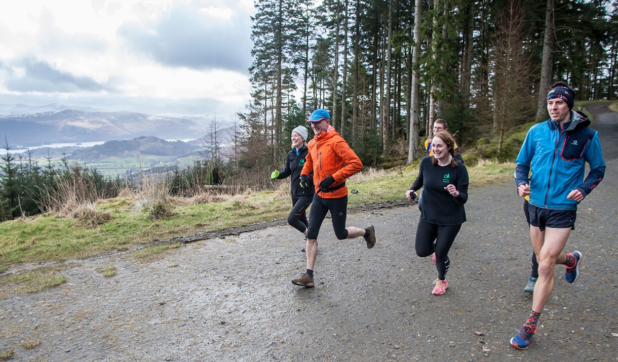 Running Trails at Whinlatter Forest, Lake District