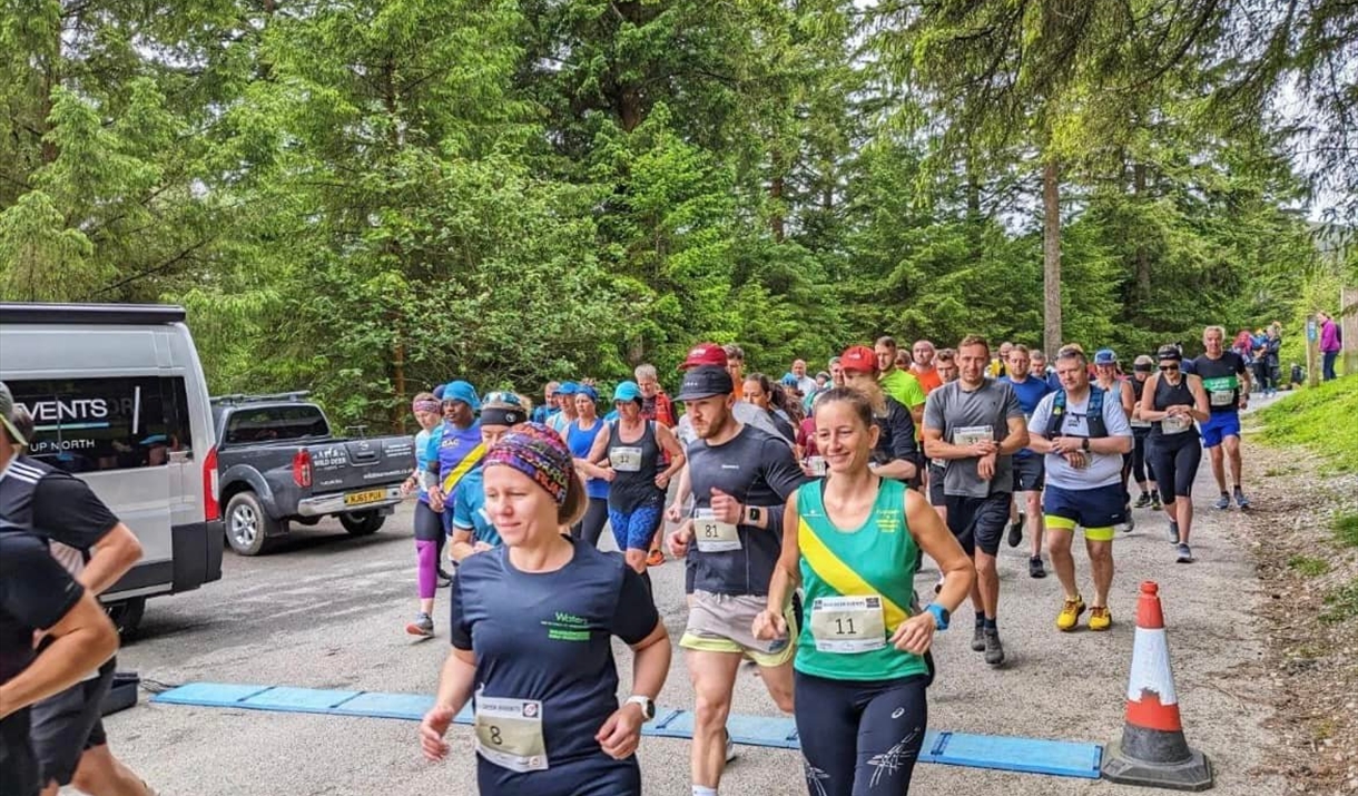 A group of runners in a forest