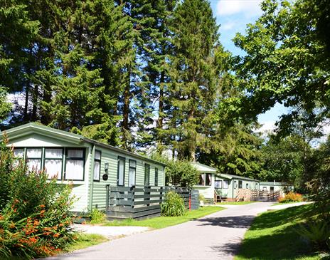 Lush surroundings at Newby Bridge Country Caravan Park in Newby Bridge, Lake District