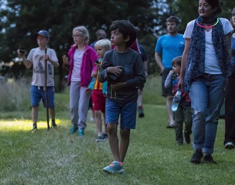 Bat Walks in Langdale