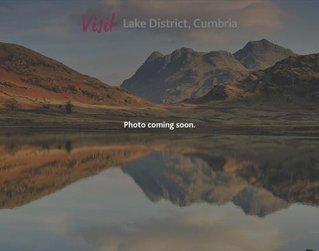 Photo coming soon