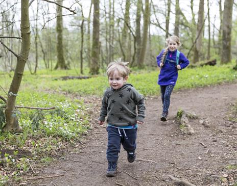 Tree 'Top Trumps' Trail