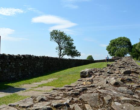 Banks East Turret; Hadrian's Wall