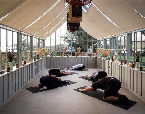 Art and yoga break at Another Place