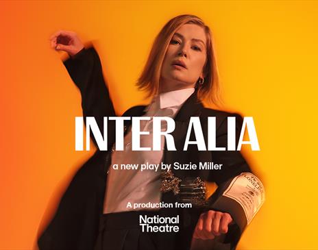 Photo of Rosamund Pike in the poster for Inter Alia