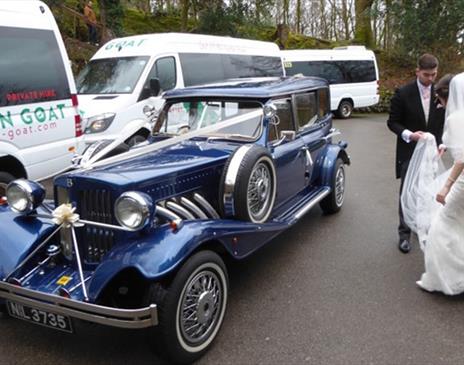 Mountain Goat Wedding Transfers