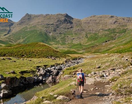 Visitor on a Walking Holiday with Coast to Coast Packhorse in the Lake District, Cumbria