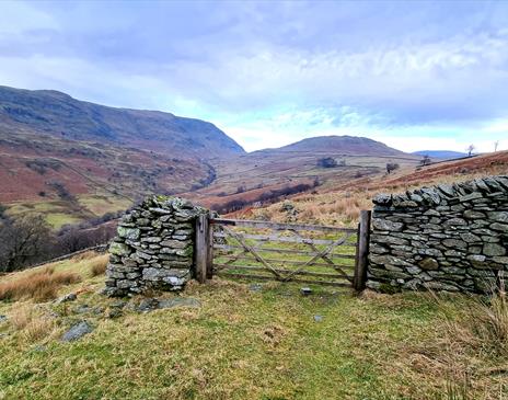 Photo of a fence in Cumbria surrounded either side by a stone wall