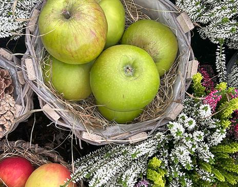 winter baskets full of pine combs apples and heather