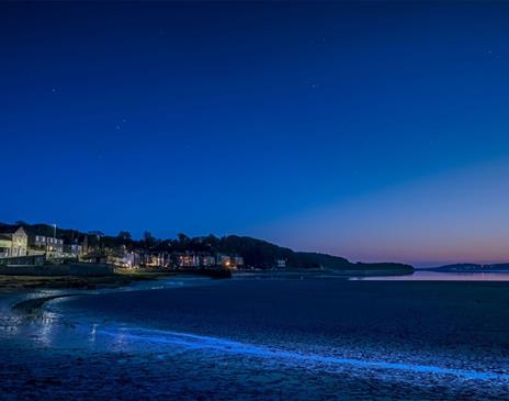 Stargazing in Arnside & Silverdale National Landscape