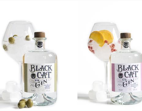 Gins from Black Cat Distillery at Brougham Castle near Penrith, Cumbria