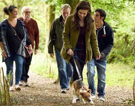 Dog walking at Sizergh Castle, Lake District © National Trust Images