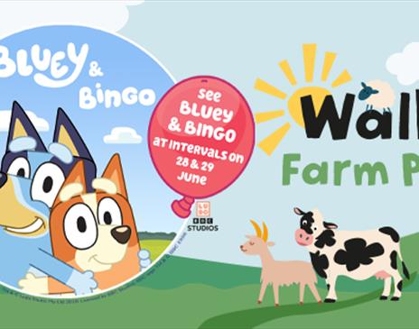 Bluey and Bingo on the Farm