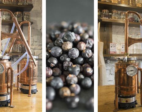 Stills and Juniper Berries at Gin Making Workshops at Black Cat Distillery at Brougham Castle near Penrith, Cumbria