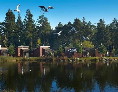 Lakeside Accommodation at Center Parcs Whinfell Forest near Penrith, Cumbria