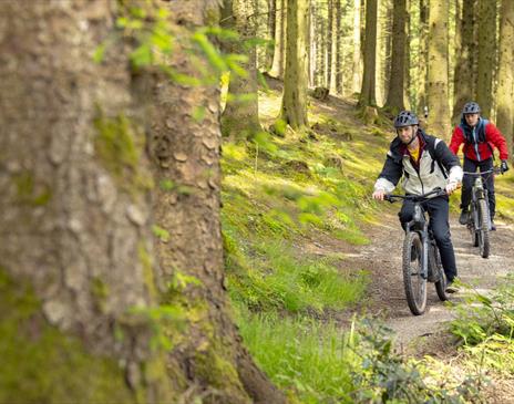 Visitors on a mountain biking trail at Whinlatter Forest in the Lake District, Cumbria
