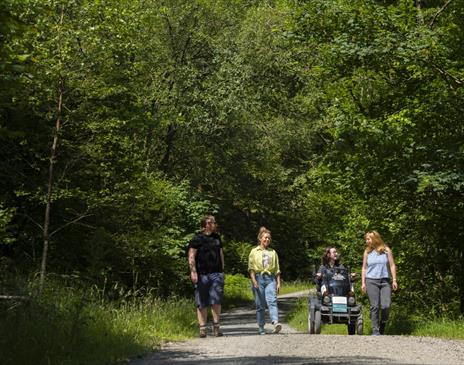 Visitors on a trail at Grizedale Forest in the Lake District, Cumbria