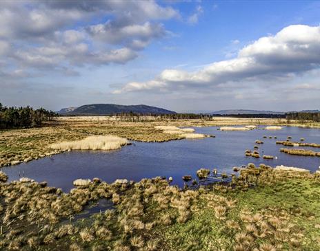 Views at Foulshaw Moss Nature Reserve in Witherslack, Cumbria
