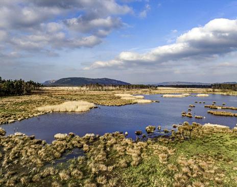 Views at Foulshaw Moss Nature Reserve in Witherslack, Cumbria