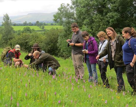 Wildlife and Nature Walk with Cumbria Wildlife Trust in the Lake District & Cumbria