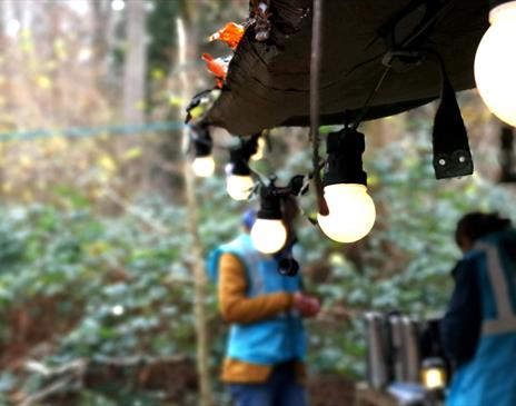 Wild Wellbeing Days with Cumbria Wildlife Trust in the Lake District & Cumbria