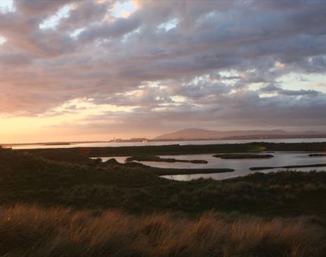 Scenery on Wildlife Tracking Tour with Cumbria Wildlife Trust at South Walney Nature Reserve