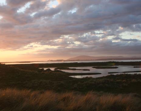 Scenery on Wildlife Tracking Tour with Cumbria Wildlife Trust at South Walney Nature Reserve